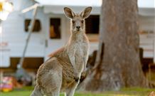 BIG4 Sunshine South West Rocks Holiday Park - South - Accommodation Brisbane 3