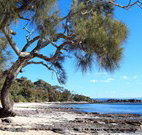 Currarong Beachside Holiday Park - Accommodation Brisbane