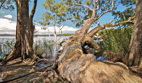 Dees Corner Campground - Accommodation Brisbane 1