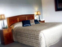 Saltbush Motor Inn - Accommodation Brisbane 4