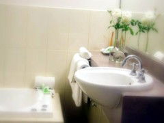 Saltbush Motor Inn - Accommodation Brisbane 5
