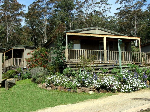 Mogo NSW Accommodation Brisbane