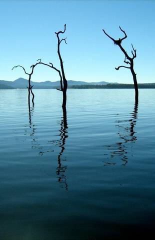 Tinaroo Lake Resort - Holiday Apartments - Accommodation Brisbane 11