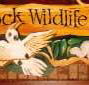 Wave Rock Hotel Motel - Accommodation Brisbane