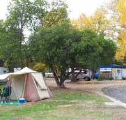 Wedderburn Pioneer Caravan Park - Accommodation Brisbane