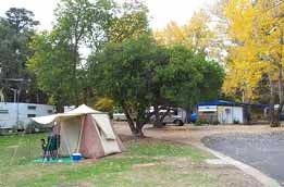 Wedderburn Pioneer Caravan Park - Accommodation Brisbane 0