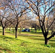 Wellington Caves Caravan Park - Accommodation Brisbane
