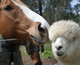 Brigadoon Retreat - Accommodation Brisbane 1