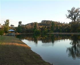 Mumbles - Accommodation Brisbane 3