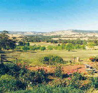 Pecan Hill Bed and Breakfast - Accommodation Brisbane