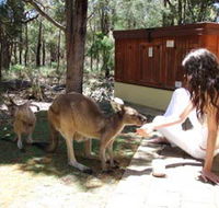 Yelverton Brook Eco Spa Retreat and Conservation Sanctuary - Accommodation Brisbane