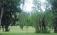 Mary River Wilderness Retreat And Caravan Park - thumb 3