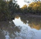 Four Mile Camping Reserve - Accommodation Brisbane