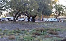 Four Mile Camping Reserve - Accommodation Brisbane 1