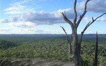 Goat Rock Camping Ground And Tourist Park - Accommodation Brisbane 2