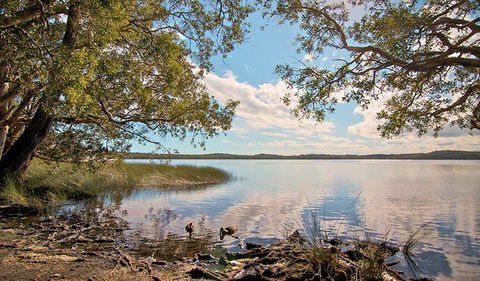 Johnsons Beach Campground - Accommodation Brisbane 1