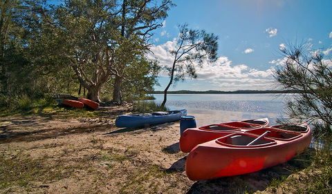 Johnsons Beach Campground - Accommodation Brisbane 2