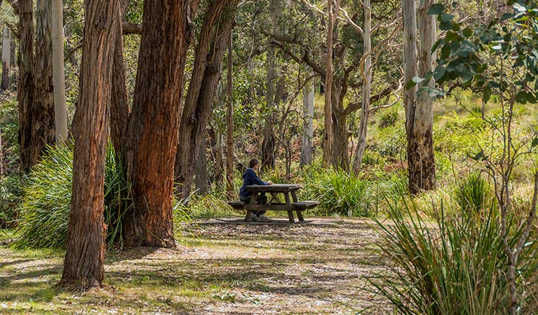 Acacia Creek ACT Accommodation Brisbane