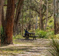 Koreelah Creek campground - Accommodation Brisbane