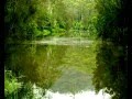 Mangrove Creek NSW Accommodation Brisbane