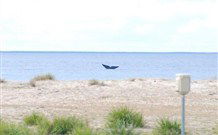 Merry Beach Caravan Resort - Accommodation Brisbane 6