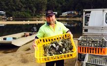 Patonga Camping Area - Accommodation Brisbane 2