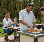 Port Stephens Treescape - Accommodation Brisbane