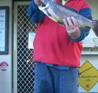 Rainbow Pines Tourist Caravan Park - Accommodation Brisbane