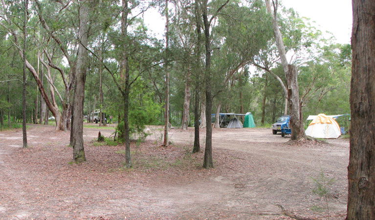 Wallingat NSW Accommodation Brisbane