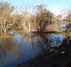 Warrawong on the Darling - Accommodation Brisbane