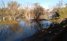 Warrawong On The Darling - Accommodation Brisbane 0