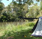Williams River Holiday Park - Accommodation Brisbane