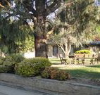 Hamilton Hume Motor Inn - Yass - Accommodation Brisbane