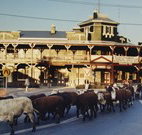 The Commercial Hotel Coonamble - Coonamble - Accommodation Brisbane