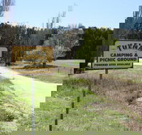 Tuena Camping and Picnic Ground - Accommodation Brisbane