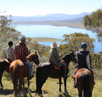 Reynella Homestead and Horseback Rides - Accommodation Brisbane