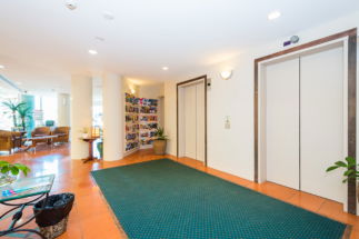 The Emerald Surfers Paradise - Accommodation Brisbane 1