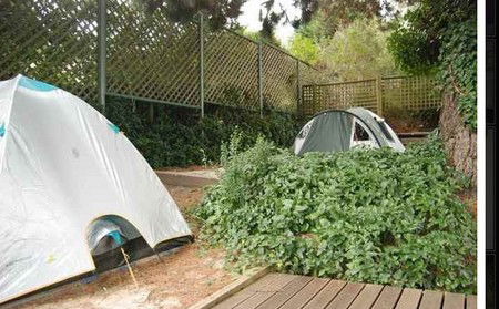 The Flying Fox Backpackers - Accommodation Brisbane 2