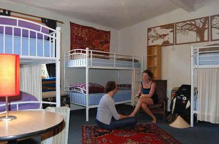 The Flying Fox Backpackers - Accommodation Brisbane 4