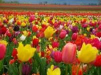 Golfview Lodge - Accommodation Brisbane 0