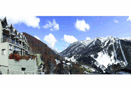 The Lantern Apartments - Accommodation Brisbane