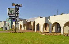 Citrus Motel - Accommodation Brisbane 0