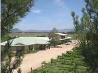 Mudgee Vineyard Motor Inn - Accommodation Brisbane 1