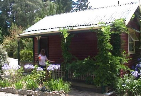 Cedar Lodge Cabins - Accommodation Brisbane 1