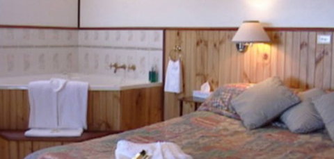 Cedar Lodge Cabins - Accommodation Brisbane 2
