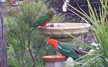 Valley View Motel Murrurundi - Murrurundi - Accommodation Brisbane 4