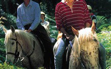 Cooby Springs Country Retreat - Accommodation Brisbane 1