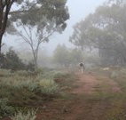 Heritage Park Bathurst - Accommodation Brisbane