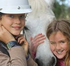 Mayfield Vineyard Cottages - Accommodation Brisbane
