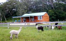 Moorallie Cottage Farm Stay - Accommodation Brisbane 0